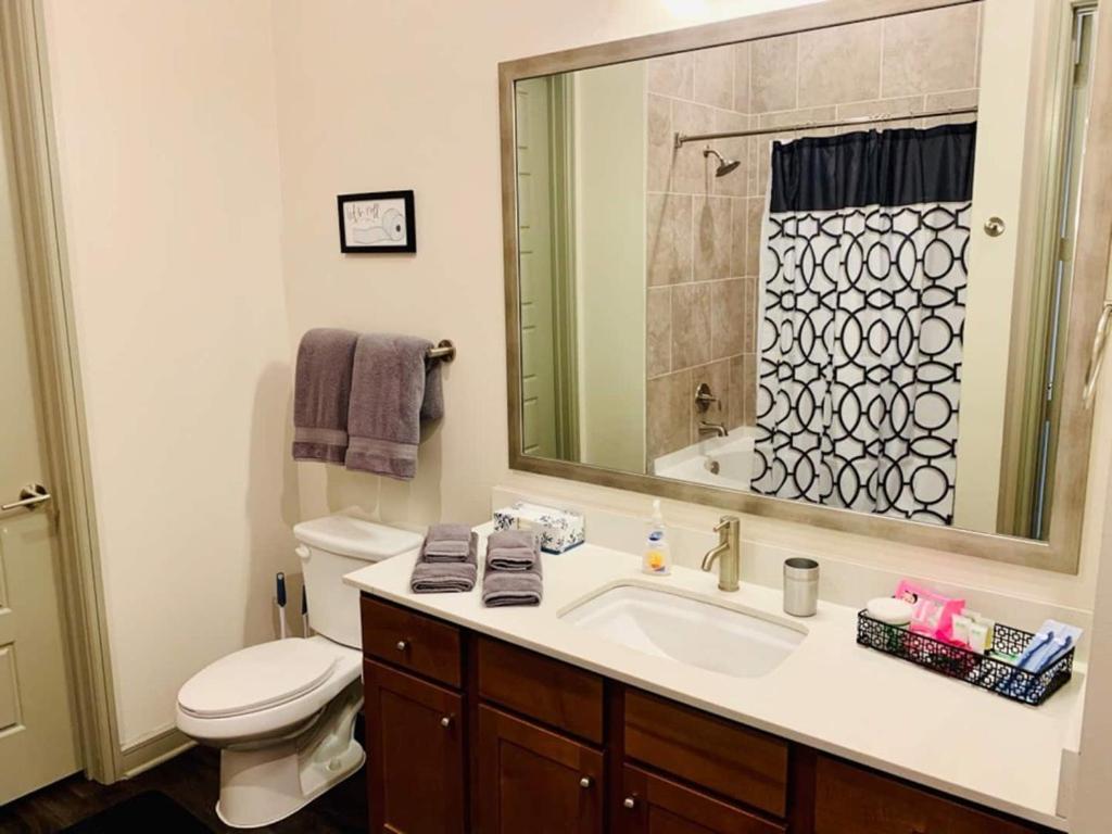 Downtown Apt Free Parking - Pool - Gym - Fully Kitchen هيوستن المظهر الخارجي الصورة